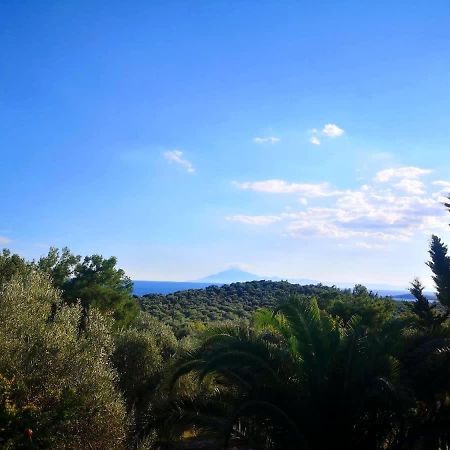 Thasos Seaside Serenity - Seaview & Garden Nests Apartment Astris Bagian luar foto