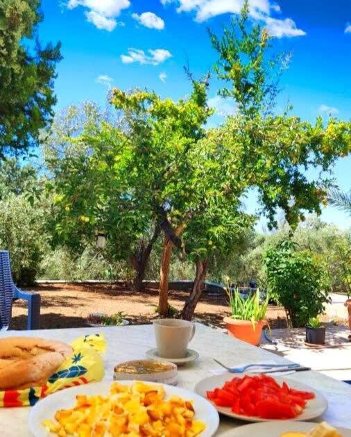 Thasos Seaside Serenity - Seaview & Garden Nests Apartment Astris Bagian luar foto