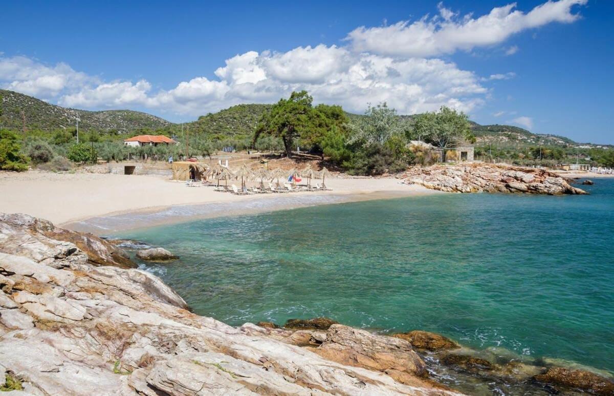 Thasos Seaside Serenity - Seaview & Garden Nests Apartment Astris Bagian luar foto