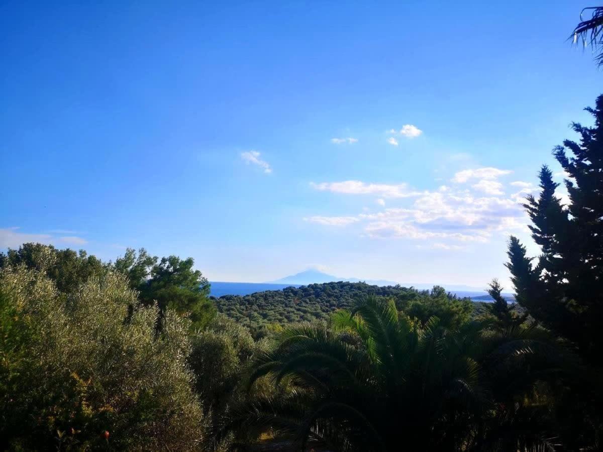 Thasos Seaside Serenity - Seaview & Garden Nests Apartment Astris Bagian luar foto