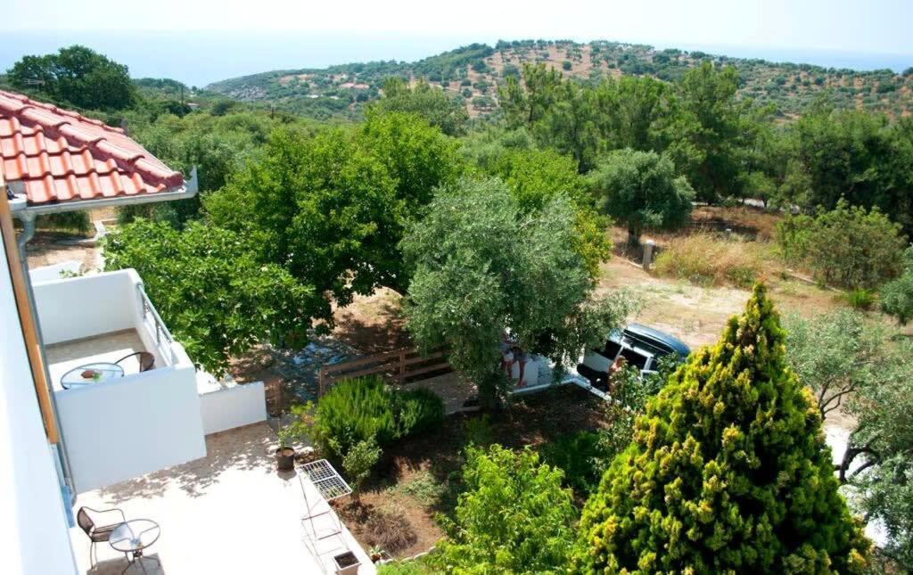 Thasos Seaside Serenity - Seaview & Garden Nests Apartment Astris Bagian luar foto