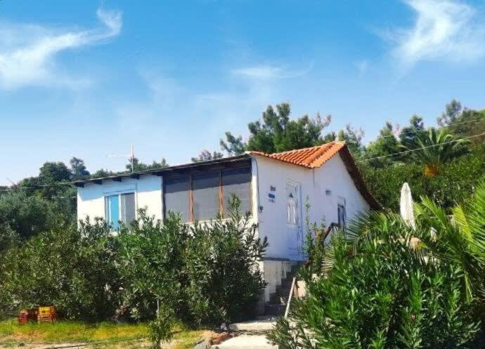 Thasos Seaside Serenity - Seaview & Garden Nests Apartment Astris Bagian luar foto