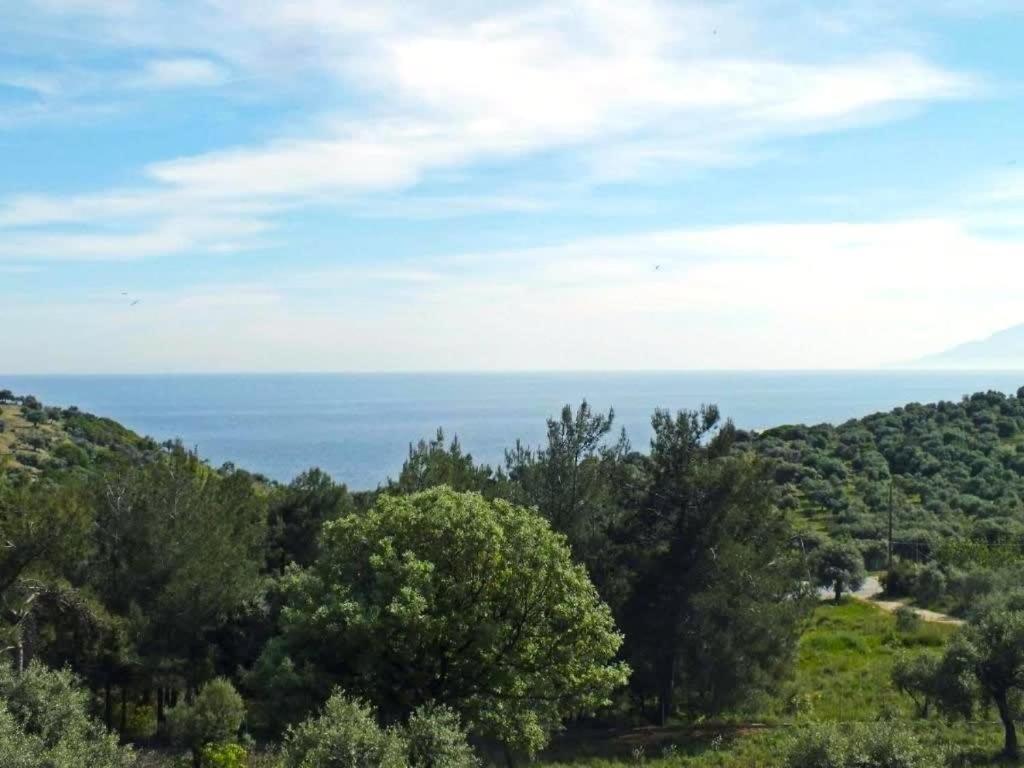 Thasos Seaside Serenity - Seaview & Garden Nests Apartment Astris Bagian luar foto